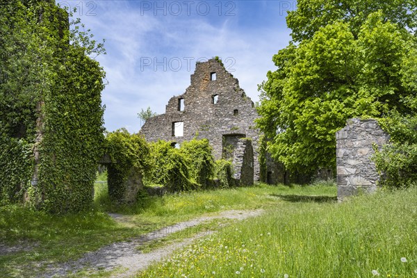 The Hohentwiel Fortress Ruin