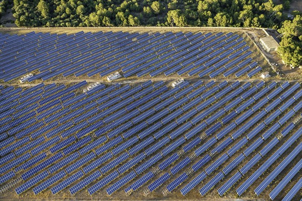 Farm of photovoltaic panels