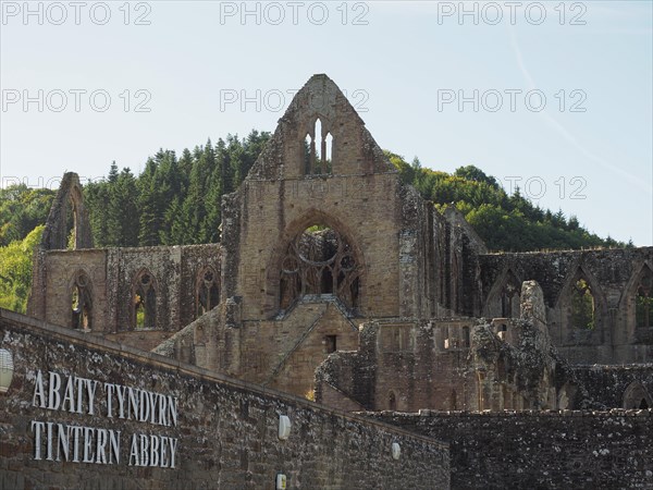 Tintern Abbey