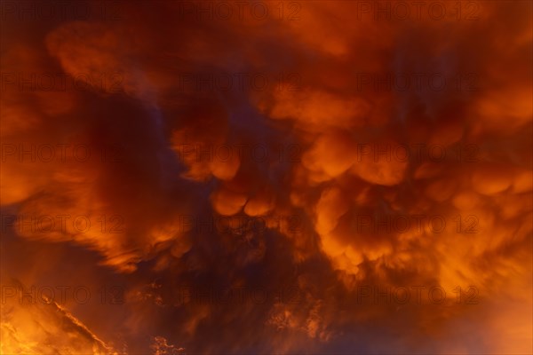 Inflamed sky with mammatus clouds at sunset. Saintes Maries de la Mer