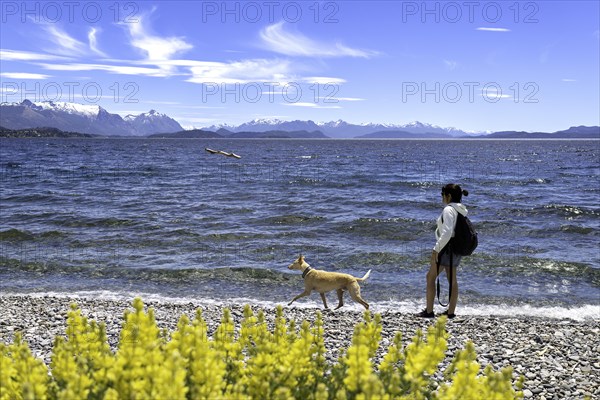 Young woman playing with her greyhound dog on a walk