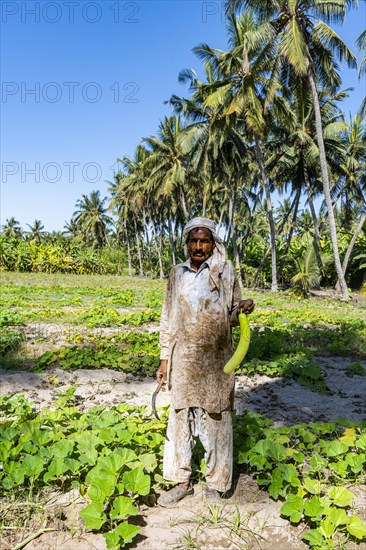 Farmer in the green Oasis of Salalah