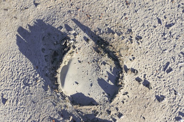 Aerial view over 17th century remains of blubber oven from Dutch whalers at Smeerenburg on Amsterdam Island