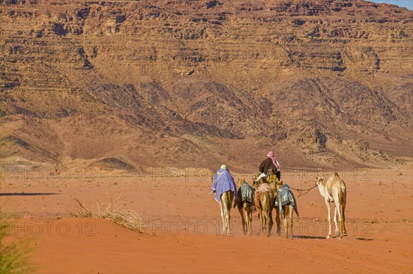 Bedouins with camels in desert