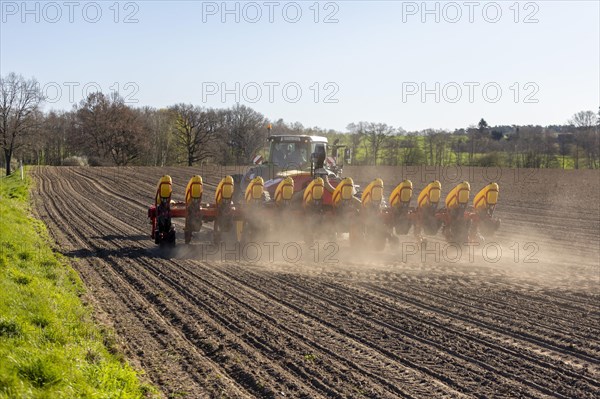 Maize sowing precision drill Vaederstad Tempo