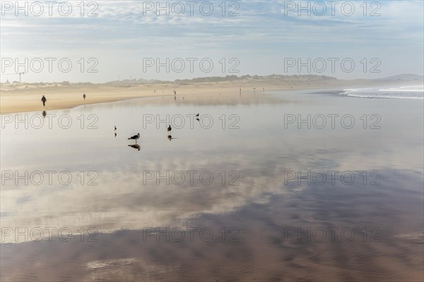 Reflection of clouds in wet sand on beach people walking