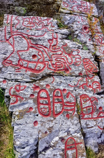 Partial section of the Bronze Age rock carvings