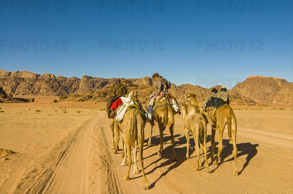 Bedouins with camels in desert