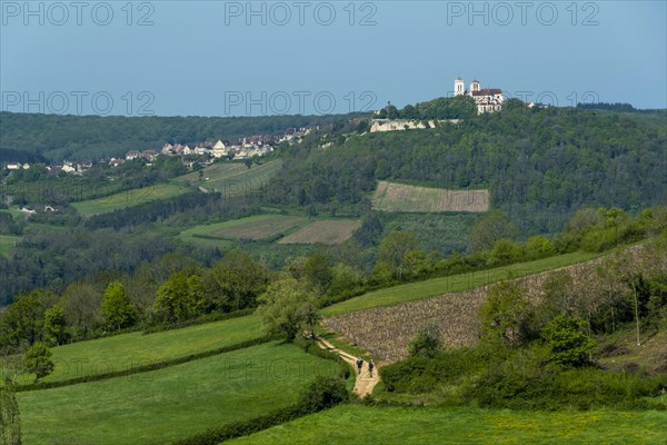 Vezelay labelled les Plus Beaux Villages de France. Unesco World heritage. Morvan regional natural park. Via Lemovicensis way to Santiago de Compostela. Yonne department. Bourgogne Franche Comte. France