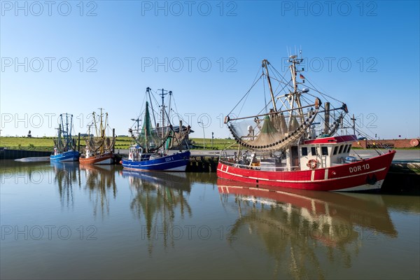 Shrimp cutter in the cutter harbour of Dorum-Neufeld