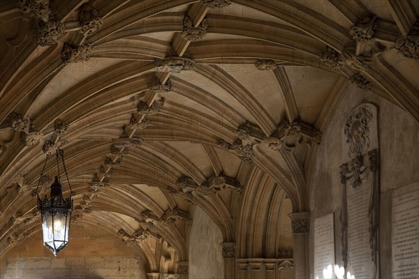 Rib-vault ceiling of entrance to the Great Hall of Christ Church College of the Oxford University