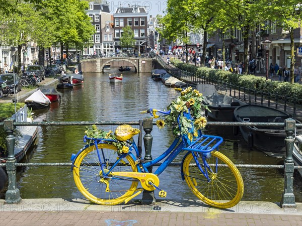 Bicycle in blue and yellow