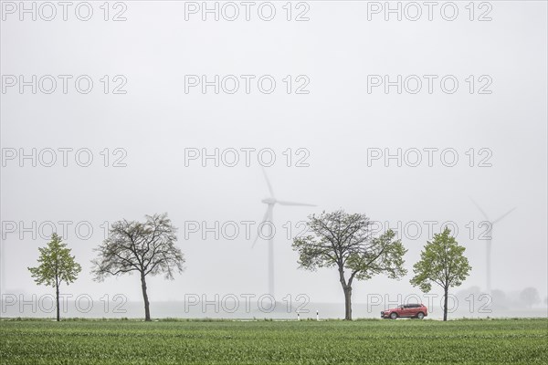 A car is silhouetted against wind turbines on a country road in Vierkirchen