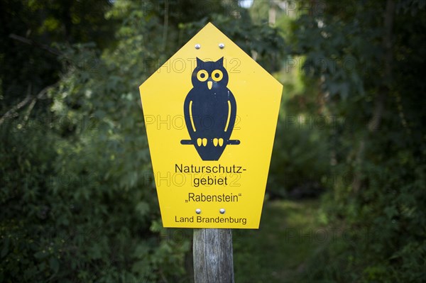 Nature reserve near Rabenstein Castle.