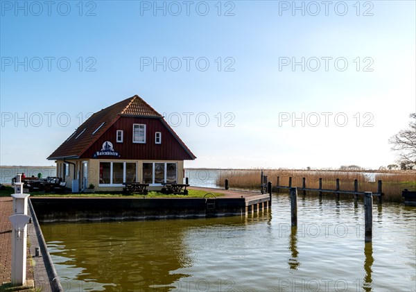 Harbour bistro in Born am Darss