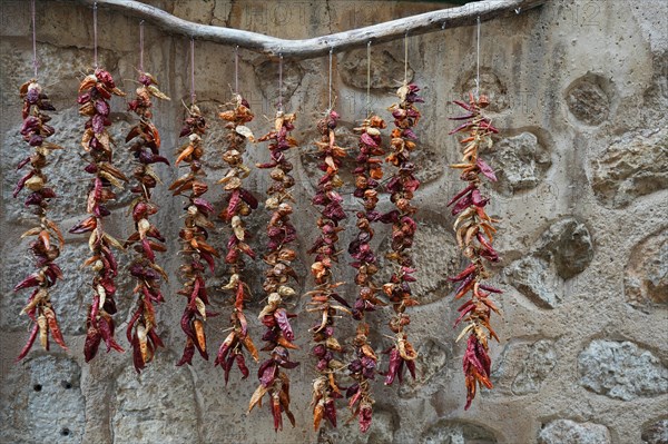 Dried chilli