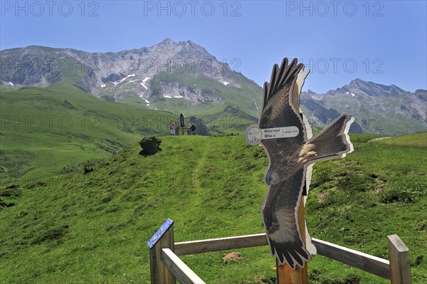 Viewpoint with sign depicting a Red kite