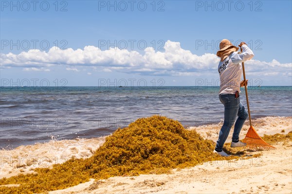 Woman worker raking