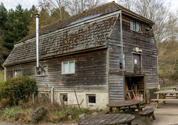 Chicken Shed pioneering intensive poultry barn building