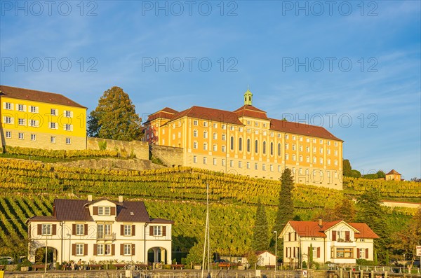 Meersburg State Winery on Lake Constance