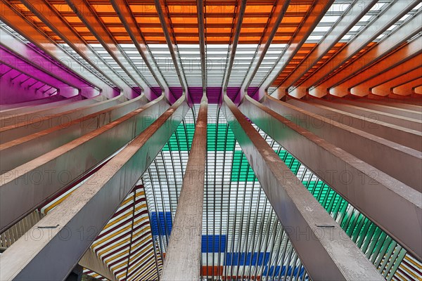 Colourful roof construction