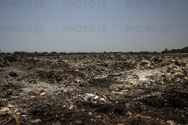 Wild rubbish dump in Africa