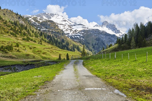 Path on the mountain pasture