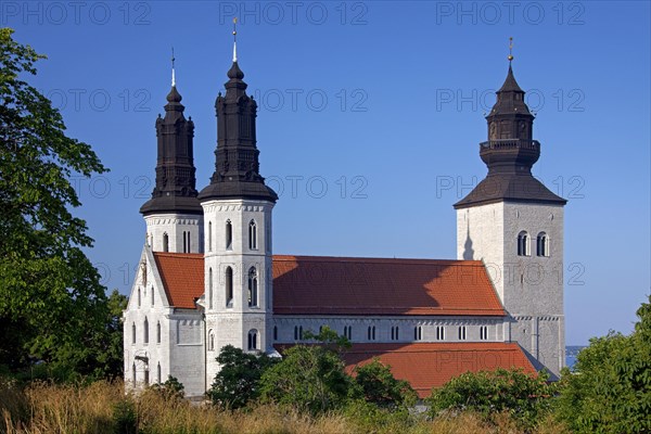 St Mary's Cathedral