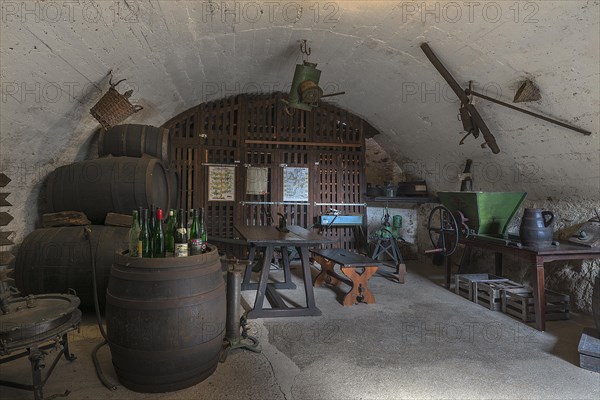 Wine cellar at the former Thurant Castle