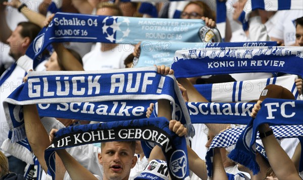 Veltins Arena Gelsenkirchen