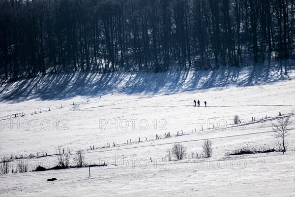 Cross-country skier