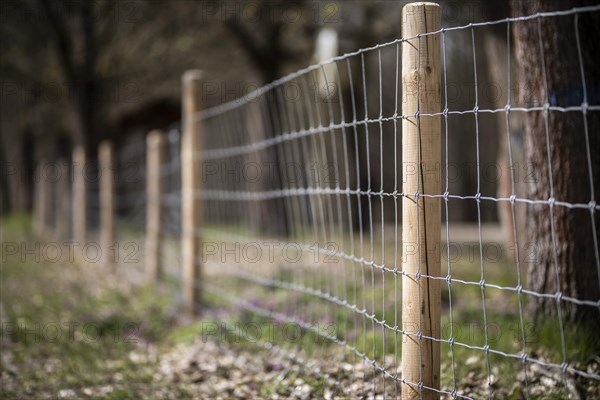 Protective fence against the spread of African swine fever