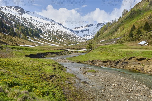 Riedingbach with snow-capped mountains