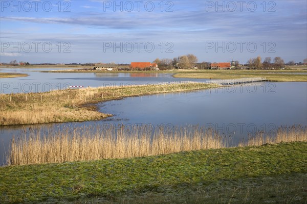 The nature reserve Schouwen-Duiveland