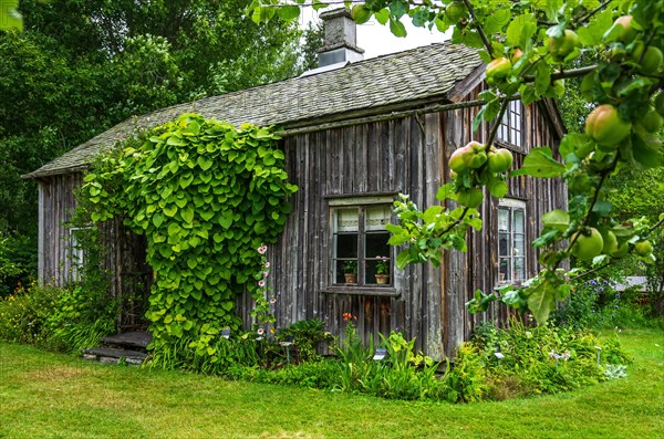 The picturesque herb garden with Kroppefjaell's local history museum and a small cafe is located on the grounds of the former spa park