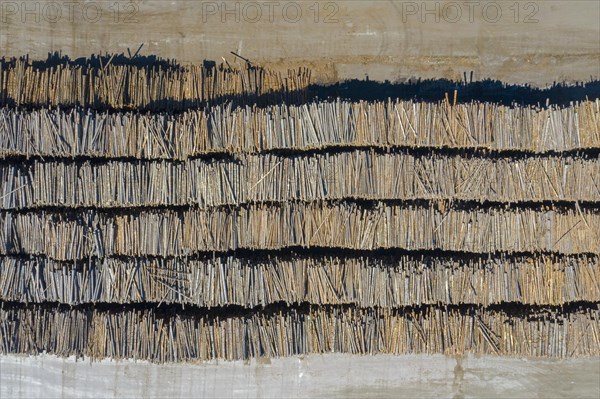 Aerial view over stacked tree trunks