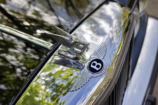 Bentley emblem and a radiator mascot of the Bentley S2 Continental