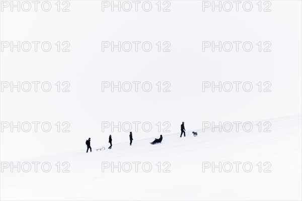 People on a toboggan slope in Koenigshain