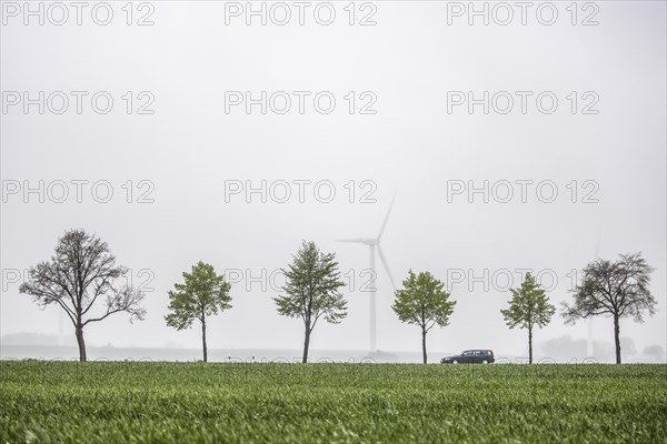 A car is silhouetted against wind turbines on a country road in Vierkirchen
