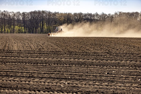 Maize sowing precision drill Vaederstad Tempo