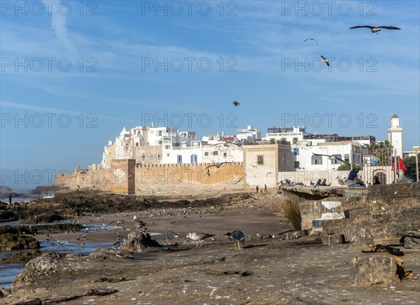 Walled town Medina from the coast