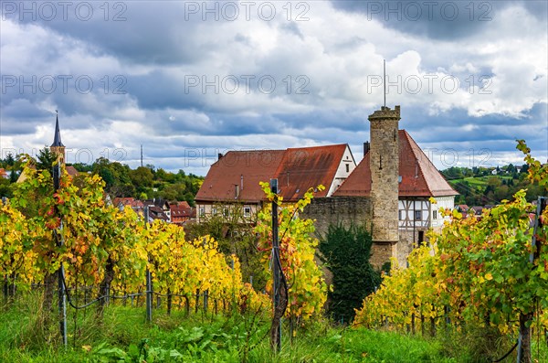 Surrounded by vineyards