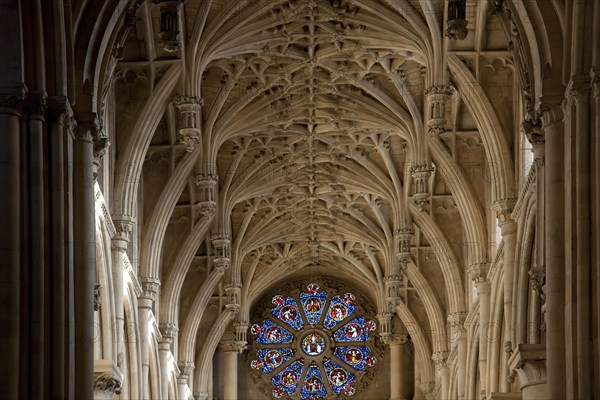 Rib-vault ceiling of the Christ Church Cathedral of the Oxford University