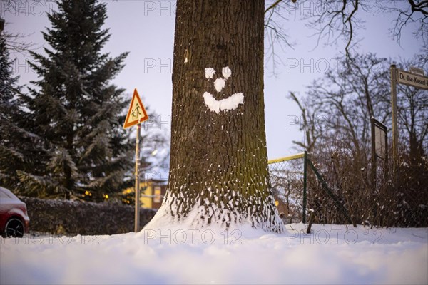 Snow in the shape of a smileys sticks to a tree in Berlin Hermsdorf. Berlin