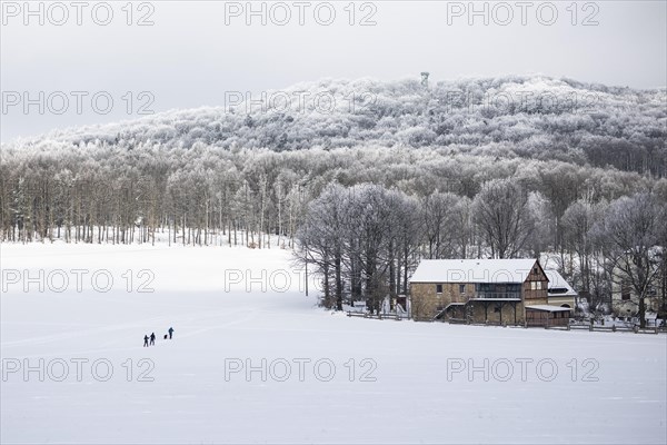 Cross-country skier