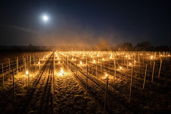 Fires loom on the vineyard of Wackerbarth Castle in Weinboehla