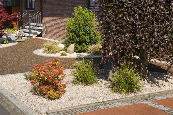 Modern front garden