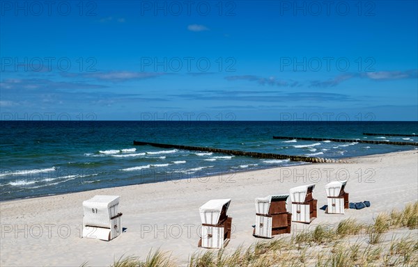 Beach chairs on the sandy beach of Ahrenshoop