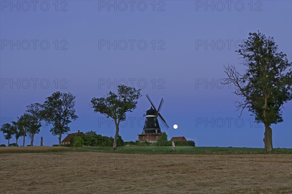 Traditional windmill in field at full moon