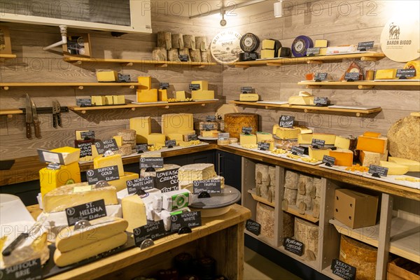 Variety of cheeses on display in cheese room of farm shop